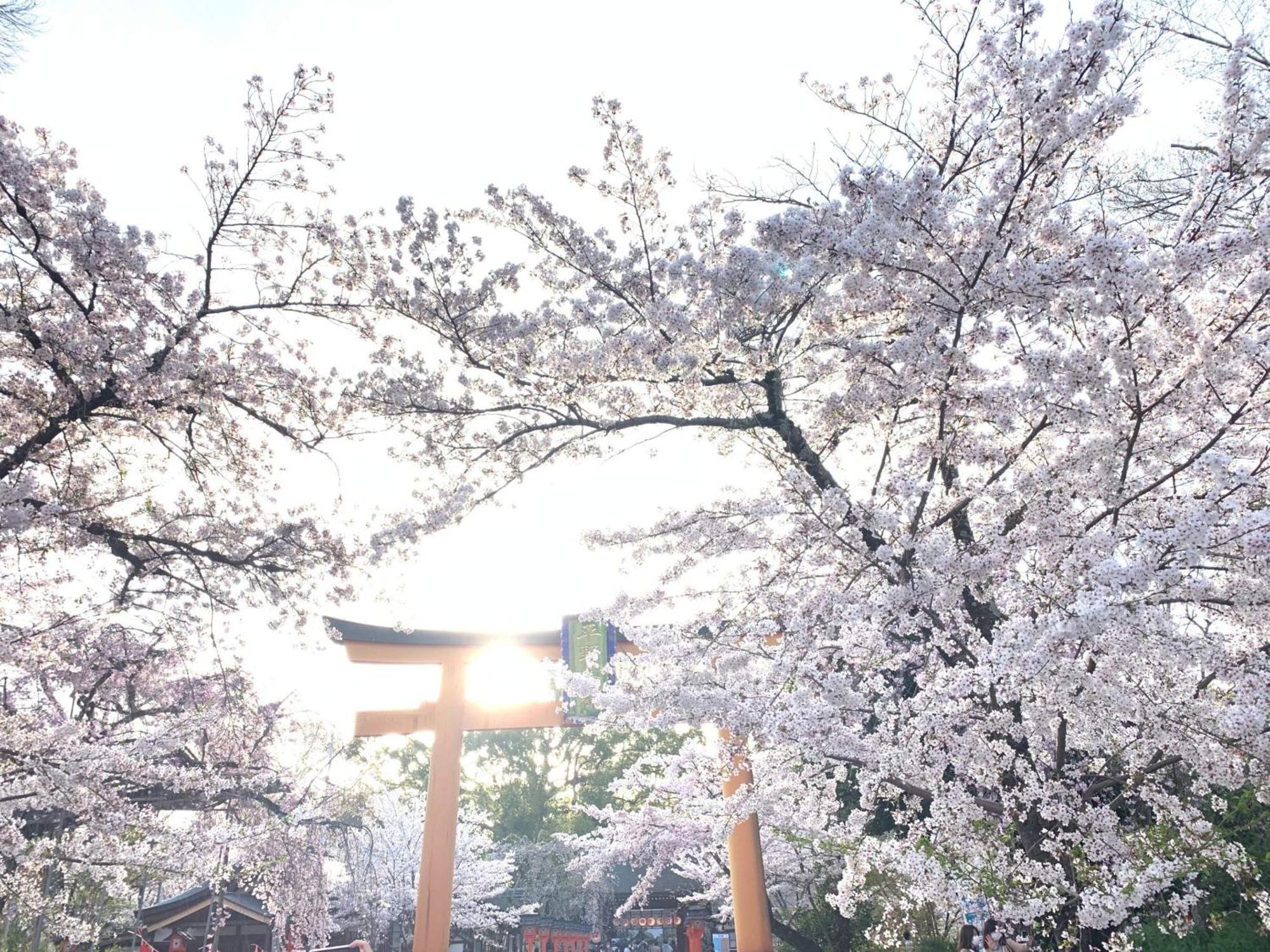 Guesthouse HANA Nishijin Kyoto Buitenkant foto